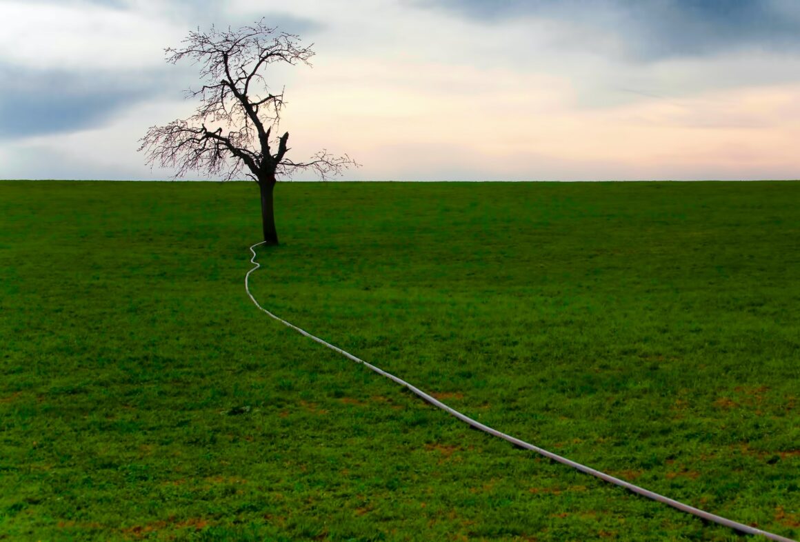Unabhängig