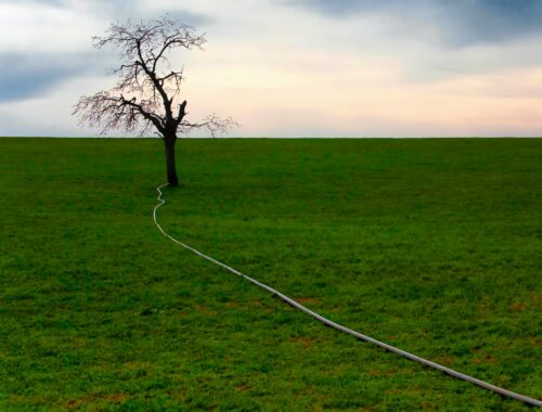 Unabhängig